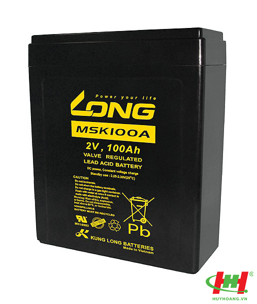 Bình ắc quy Long 2V-100Ah (MSK100A)