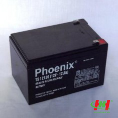 Bình ắc quy Phoenix AGM VRLA 12V 12Ah (TS12120)