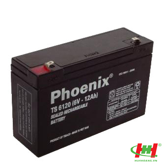 Bình ắc quy Phoenix AGM VRLA 6V 12Ah (TS6120)