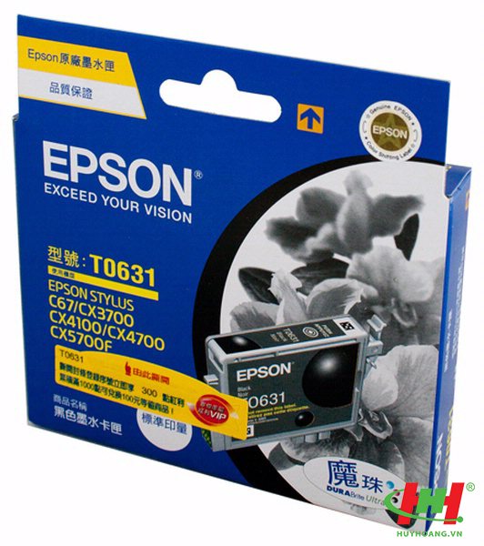 Mực in Epson C13T063190 Black