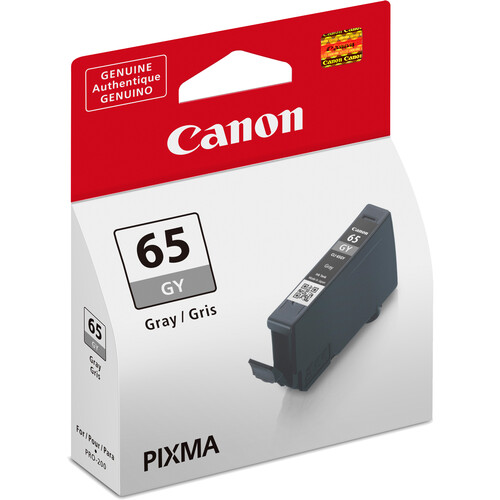 Mực máy in Canon PIXMA PRO-200 CLI-65 Gray  (CLI-65GY,  4219C002)