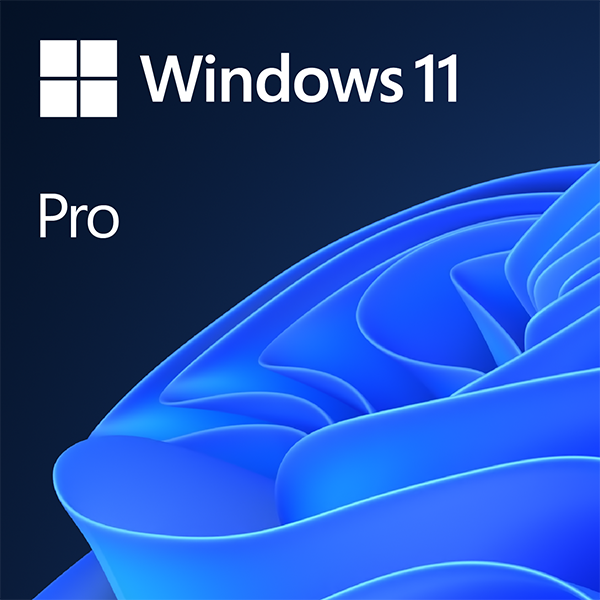 Phần mềm Windows 11 Pro 64-bit OEM (FQC-10528 Win Pro 11 x64 Eng Intl 1pk DSP OEI DVD)