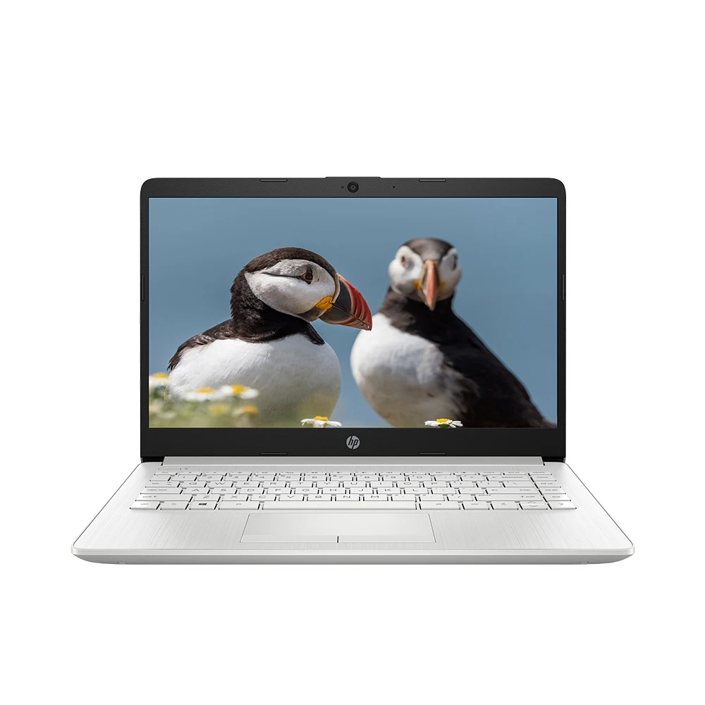 Máy tính xách tay HP 14s-cf2043TU 1U3K6PA (14 FHD/ Intel Pentium Gold 6405U/ 4GB/ 256GB SSD/ Win10 /1.4kg)