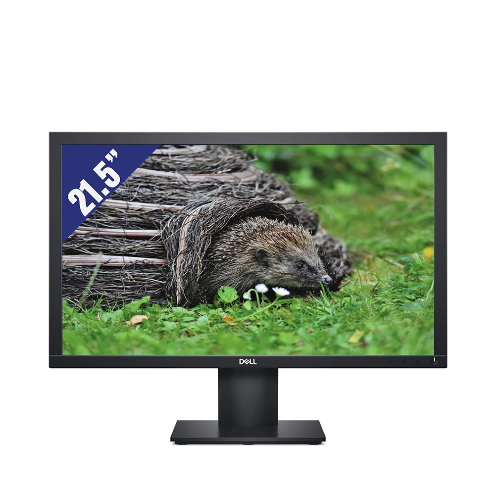 Màn hình LCD Dell 21.5inch E2220H (1920 x 1080/TN/60Hz/5 ms,  VGA,  Dis)